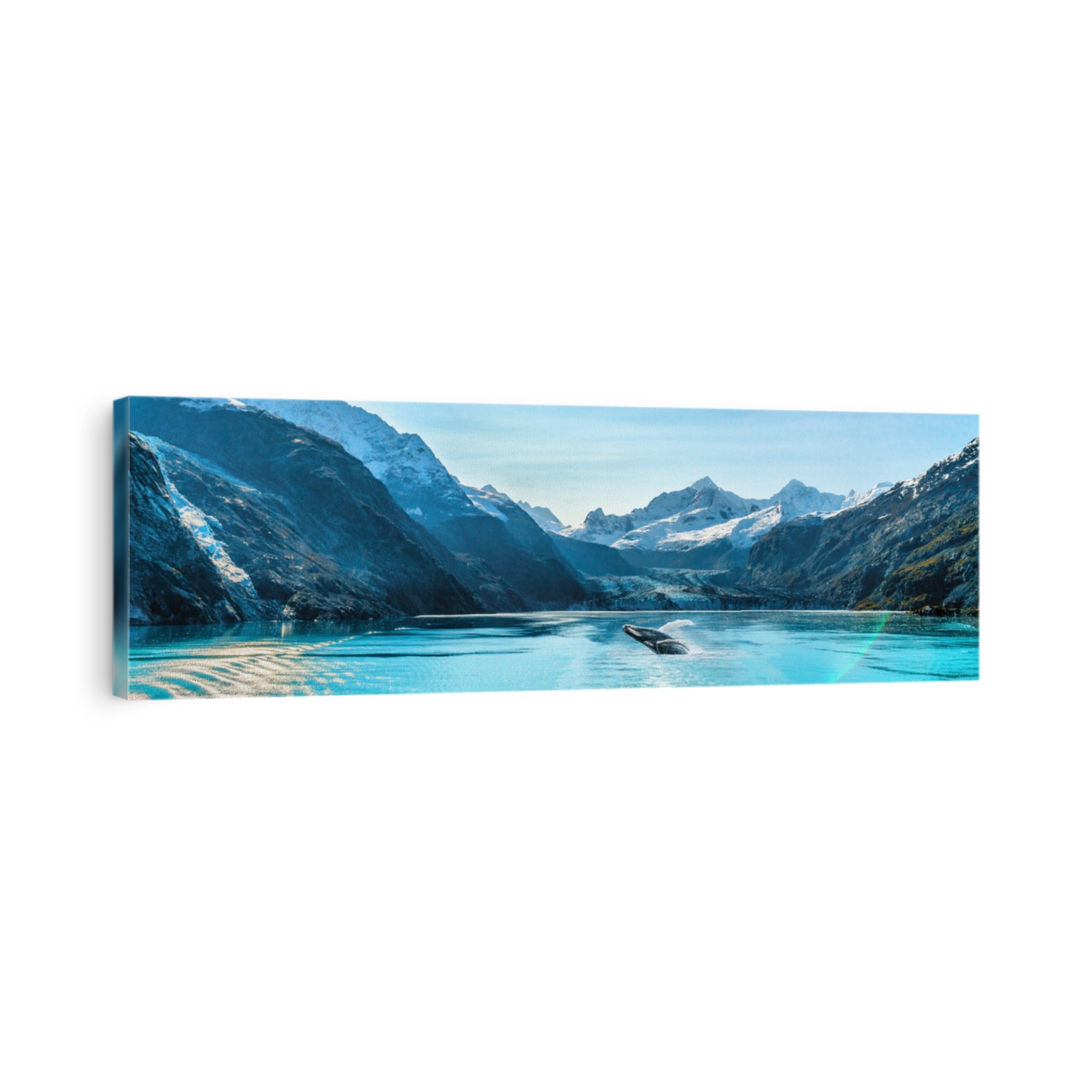 Alaska luxury cruise travel panoramic. Scenery landscape panorama with humpback whale composite breaching out of waters on glacier bay background.