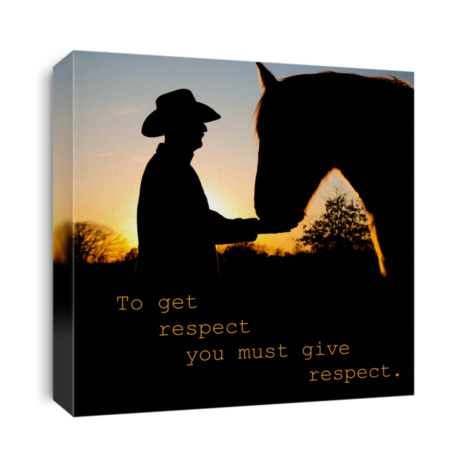 To get respect you must give respect - quote with a silhouette of a man and a horse face to face
